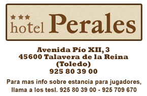 Hotel Perales